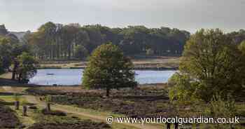 Concerns over cuts to Royal Parks Police covering Richmond green spaces