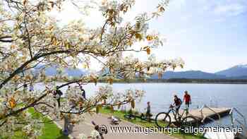 Entspannen an der Allgäuer Riviera: Eine Rundtour um den Hopfensee
