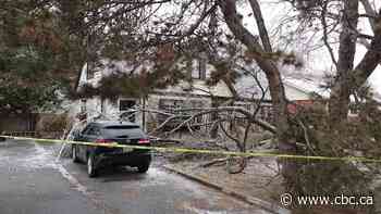 Ontario Premier Doug Ford to visit areas without electricity since ice storm