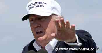 Donald Trump puts tariffs on uninhabited islands home only to penguins