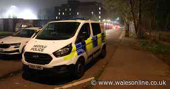 Police issue update after man stabbed and robbed in Cardiff