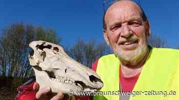 Was der Müll am Straßenrand im Südharz über die Menschen verrät