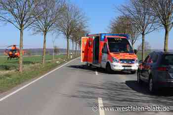 Borgentreicher stirbt bei Unfall