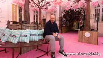 Duizend vogeltjes en anderhalve kilometer bloesemslingers: The Blossom Alley opent de deuren in Hasselt