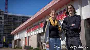 Allemaal Antwerpen: “We blijven de rest van ons leven op den Dam wonen”