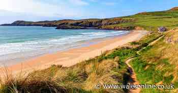 Eluned Morgan wants to make beach toilets free in tourist hotspots
