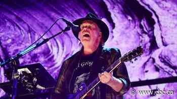 A wave of artists are reconsidering tours over U.S. border detention fears