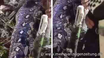 Gefährliche Begegnung auf dem Heimweg: Suche nach vermisster Frau endet mit schrecklichem Fund