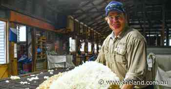 'What have you got to lose?': wether trial data crucial for top performers