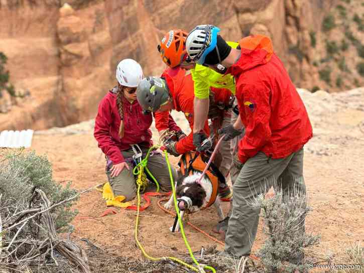 Dog saved after falling over 100 feet at Colorado National Monument