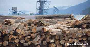 B.C. premier anxious about province’s softwood lumber industry in Trump trade war