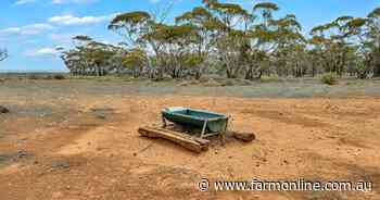 Nondescript sheep block rebranded as dream retreat and it paid off