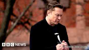 Tesla sales plunge after Elon Musk backlash