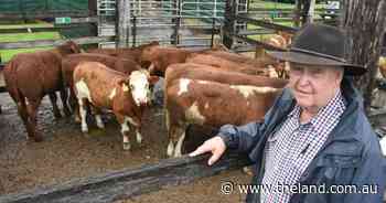 White House confirmation: There is no plan to ban Australian beef