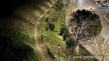 Muratella, nel nuovo parco arrivano 80 alberi con il progetto Ossigeno