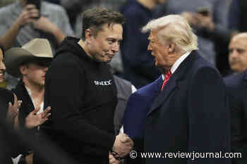 Musk will probably leave in ‘a few months,’ Trump says