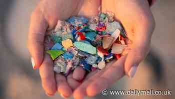 PICTURED: New images show the gruesome effect microplastics have on your body