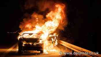 Urgent recall issued for two Ford SUVs over fears they could burst into flames