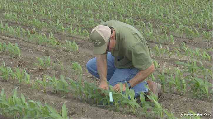 Louisiana farmers face uncertainty as new Trump administration tariffs take effect