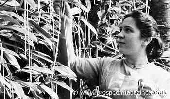 April Fool’s Day Ads Used To Be Fun, And Folks Loved Them. Not Anymore. What Happened?