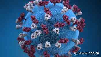 As 6th case of measles found in province, Sask. health authority urges vaccination