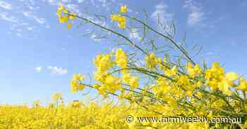 WA farmland values shift sideways in 2024, according to new ABARES report