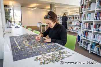 Van klusruimte tot puzzelplekje: Limburgse bibliotheken zijn vandaag veel meer dan boekerijen