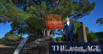 The park where Anzac Day comes early, beneath Australia’s oldest Lone Pine