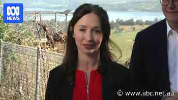 Labor reinforces it won't end Tasmania's native forest logging after candidate's comments