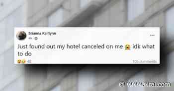 Dreamville guests scramble for places to stay after hotel reservations cancelled