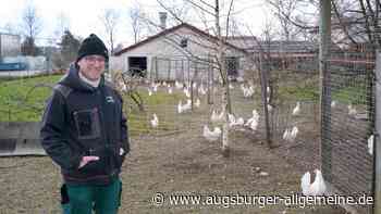 Jetzt ist die beste Zeit, sich um die Ostereier zu kümmern