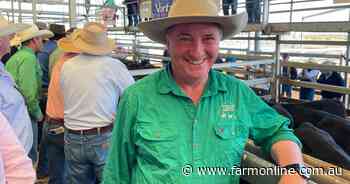 Canberra Chaos: Barnaby says PM's target 'bat poo' crazy, Hancock claps tariffs