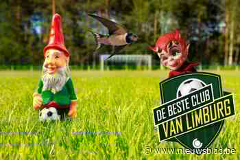 Van Kabouters over Jungle Boys en Zwaluw tot Moedige Duivels: dit zijn de strafste verhalen achter de leukste clubnamen uit ons amateurvoetbal