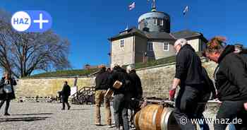 Steinhuder Meer: Darum hängt ein Fass Gin im Baum auf dem Wilhelmstein