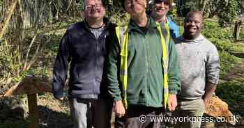 Forest school opens at York school