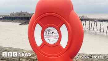 'Senseless vandals' stealing life-saving rings