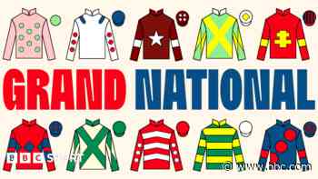 Grand National pinstickers' guide to runners