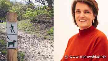 Inwoners Vosselaar spreken zich uit over meer groen en leven in dorp: “Van Konijnenberg tot Cingel”