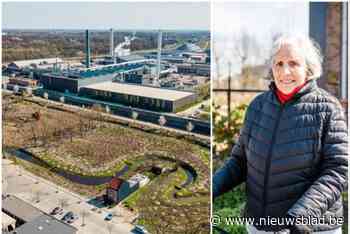 In deze wijk werden alle huizen afgebroken, uitgezonderd deze vier: “Ik heb nu een alleenstaande woning in het groen”