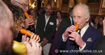 'Jolly' King Charles returns to public duties and plays carrot recorder at Windsor Castle music reception