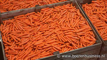 Is de bodem bereikt op de peenmarkt?