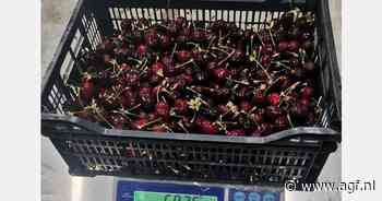 Vorst zorgt voor kleinere Griekse kersenoogst