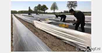 Groente- en fruittelers in Nedersaksen eisen vrijstelling van minimumloon