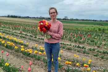 Elke moet haar onbemande bloemenwinkeltje sluiten na diefstal van boeketten: “Ik ga niet beginnen met camera’s plaatsen”