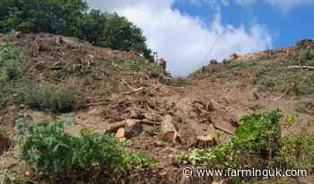 Landowner fined £80,000 for illegally felling 8 hectares of woodland