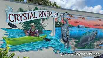 Women's championship weekend tips off in Tampa, St. Pete leaders approve Tropicana Field roof fix and Crystal River named among 'most charming' small towns