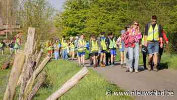 IN BEELD. Bijna 2.000 Sjabi-leerlingen wandelen paasvakantie in: Vastenvoettocht levert 33.000 euro op voor diverse goede doelen