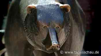 Marktbericht: Schwarzer Freitag an den Börsen