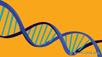 Ancestry: The Best DNA Test Kit in 2025
