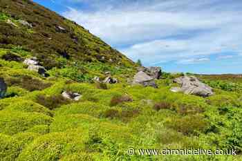 Breathtaking Northumberland landmark named one of UK's 'most Instagrammable' locations